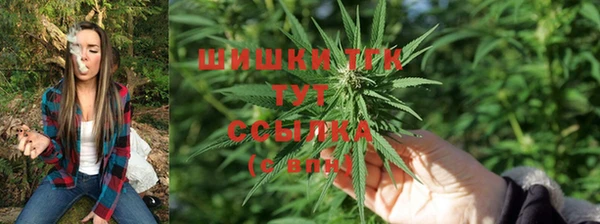 СК Абинск