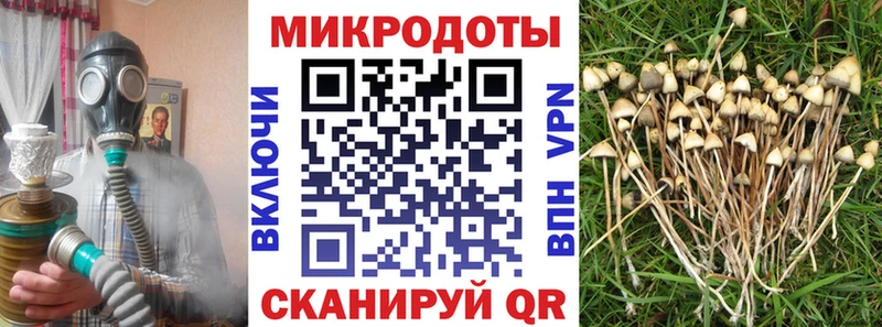 Псилоцибиновые грибы Psilocybe  цены   Щёлкино 